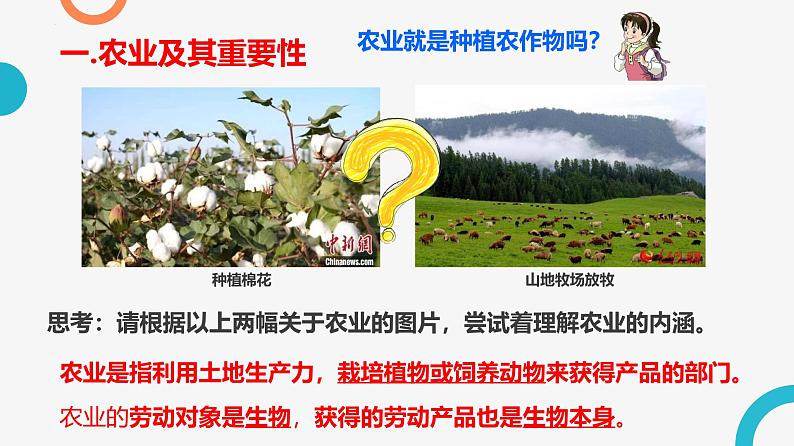 4.2 中国的农业 —以新疆为例  课件  ---2024年初中秋季地理人教版八年级上册第4页