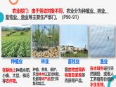 4.2 中国的农业 —以新疆为例  课件  ---2024年初中秋季地理人教版八年级上册