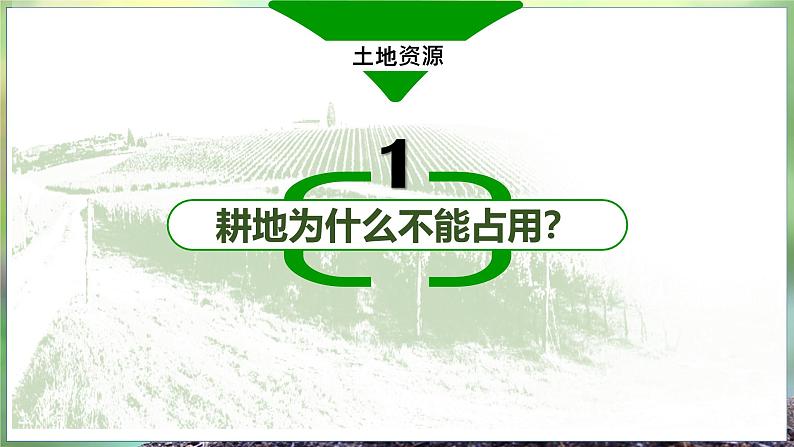 【2024年最新】湘教版地理八上：3.2中国的土地资源-课件06