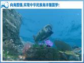 【2024年最新】湘教版地理八上：3.4中国的海洋资源-课件