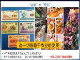 【2024年最新】湘教版地理八上：4.1中国的农业-课件