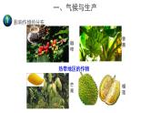 2.3《气候与人类活动》 课件 ---2024年初中秋季地理中图版八年级上册