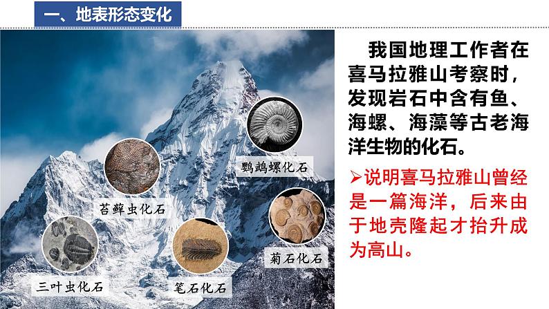 3.3 海陆变迁  课件 -2024-2025学年地理湘教版（2024）七年级上册05