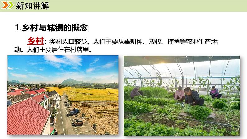 人教版（2024）七年级地理上册课件 5.2 城镇与乡村04