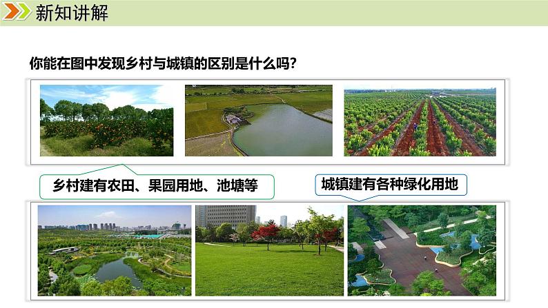 人教版（2024）七年级地理上册课件 5.2 城镇与乡村08