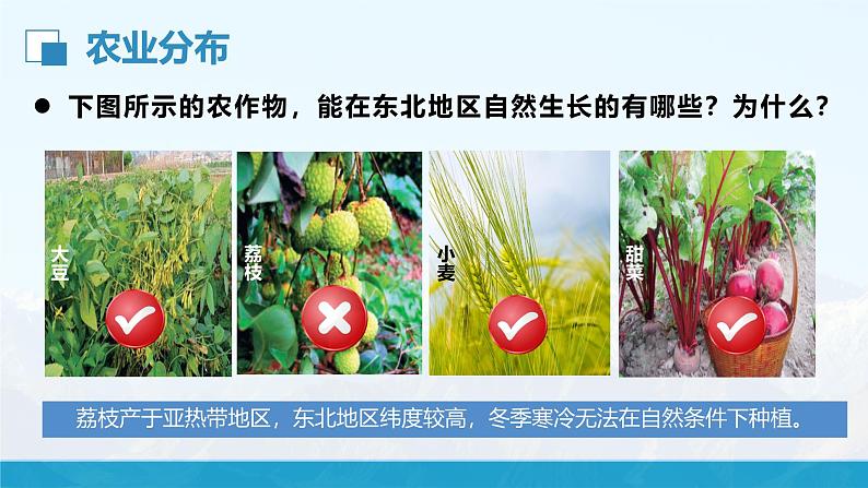 湘教版初中地理8下第六章 第三节 《东北地区的产业分布》教学课件04