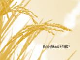湘教版初中地理8下第五章 第二节 《北方地区和南方地区》教学课件（第2课时）