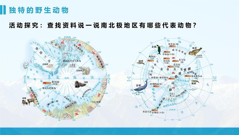 湘教版初中地理7下第七章 第五节 《北极地区和南极地区》教学课件（第2课时）03