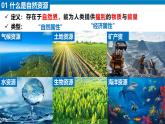 湘教版八年级地理上册《自然资源概况》课件+教案+练习