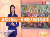 湘教版八年级地理上册《农业》课时1 课件+教案+练习