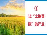 湘教版八年级地理上册《农业》课时1 课件+教案+练习