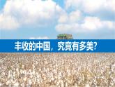 湘教版八年级地理上册《农业》课时2 课件+教案+练习