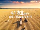 湘教版八年级地理上册《农业》课时2 课件+教案+练习