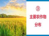 湘教版八年级地理上册《农业》课时2 课件+教案+练习