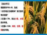 湘教版八年级地理上册《农业》课时2 课件+教案+练习