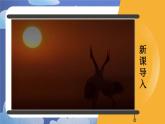 1.1 疆域（共2课时）-2024-2025学年地理八年级上册同步备课高效课件