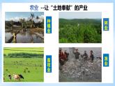 【新课标】湘教版地理八年级上册 4.1.1中国的农业 课件+教案+课后分层练习