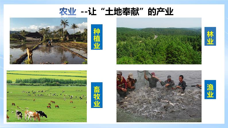 【新课标】湘教版地理八年级上册 4.1.1中国的农业 课件+教案+课后分层练习03