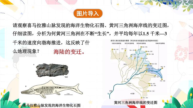 人教[2024]版 地理 七上 第3章 第三节 海陆的变迁 PPT课件07
