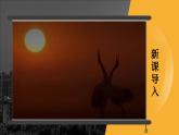 人教版 地理 八上 第6章 第一节 疆域 PPT课件