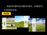 人教版 地理 八上 第3章 第二节 土地资源 PPT课件