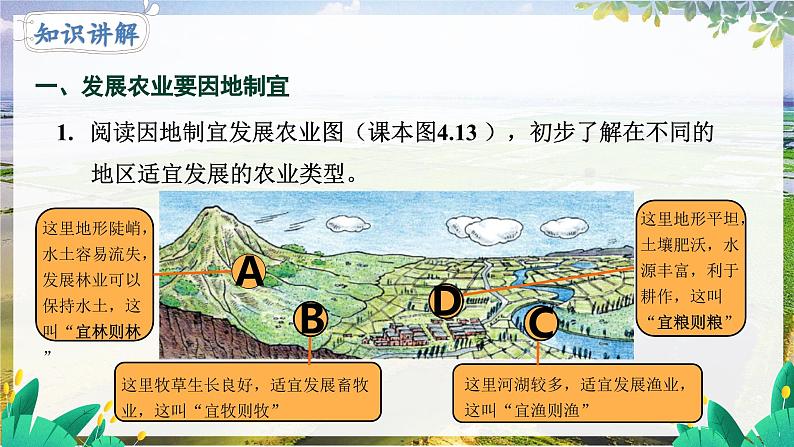 人教版地理八上 第四章 5第4章第二节第二课时发展农业要因地制宜 走科技强农之路 PPT课件第5页