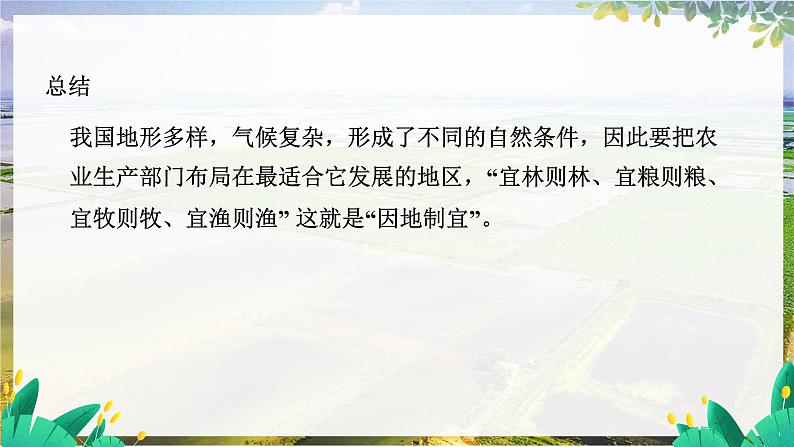 人教版地理八上 第四章 5第4章第二节第二课时发展农业要因地制宜 走科技强农之路 PPT课件第6页