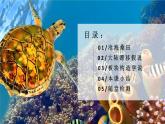 3.3海陆变迁（课件+教案）-2024-2025学年最新人教版七年级上册地理