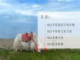 5.3多样的文化（课件+教案）-2024-2025学年最新人教版七年级上册地理