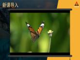 湘教2024版地理七年級上冊 第5章 4.第4節(jié) 世界主要氣候類型 PPT課件+教案