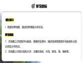【人教新版】初中地理七上第三章 第一节 《大洲和大洋》教学课件（第1课时）