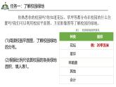 跨学科主题学习——美化校园（课件+教案）——2024-2025学年最新人教版七年级上册地理