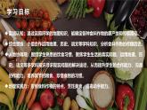 跨学科主题学习——探索外来食料作物传播史（课件+教案）-2024-2025学年最新人教版七年级地理上册