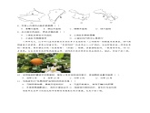 【人教八上地理期中复习串讲课件+考点清单+必刷押题】期中冲刺B卷（全册卷）