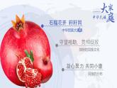 人教版（2024）地理八上：1.3 民族（课件+教案+素材）
