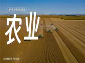 人教版（2024）地理八上：4.2 农业（课件+教案+素材）