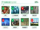 人教版（2024）地理八上：4.2 农业（课件+教案+素材）