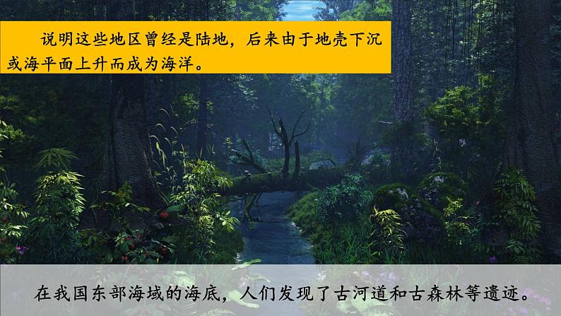 3.3 海陆的变迁 课件2024~2025学年人教版七年级地理上册07