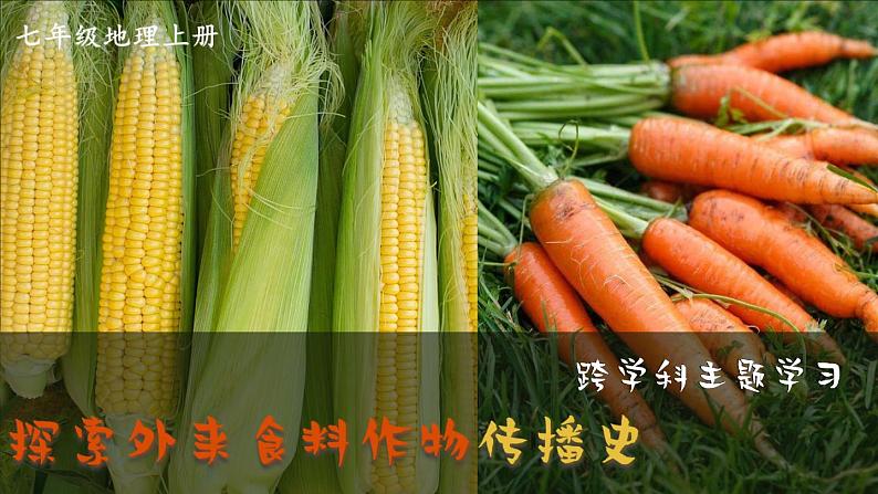 跨学科主题学习 探索外来食料作物传播史  课件2024~2025学年人教版七年级地理上册01