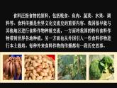跨学科主题学习 探索外来食料作物传播史  课件2024~2025学年人教版七年级地理上册