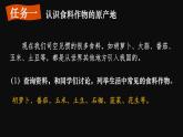 跨学科主题学习 探索外来食料作物传播史  课件2024~2025学年人教版七年级地理上册