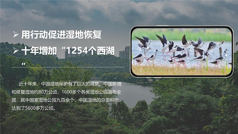 人教版初中地理八年级上册 3.1 自然资源的基本特征（课件+教案+练习+导学案）02