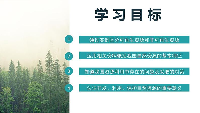 人教版初中地理八年级上册 3.1 自然资源的基本特征（课件+教案+练习+导学案）04