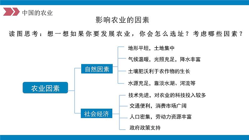 人教版初中地理八年级上册 4.2.2 农业（课件+教案+练习+导学案）07