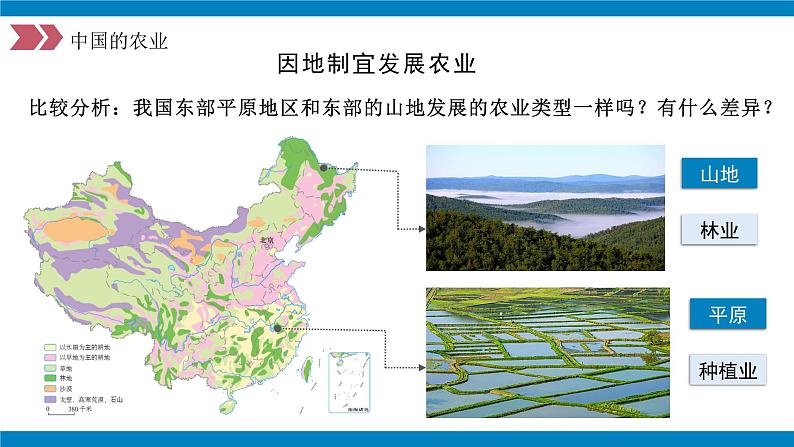 人教版初中地理八年级上册 4.2.2 农业（课件+教案+练习+导学案）08