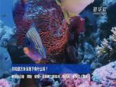 湘教版初中地理8上第三章 第四节 《中国的海洋资源》教学课件
