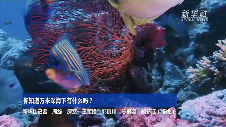 湘教版初中地理8上第三章 第四节 《中国的海洋资源》教学课件02