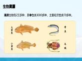 湘教版初中地理8上第三章 第四节 《中国的海洋资源》教学课件