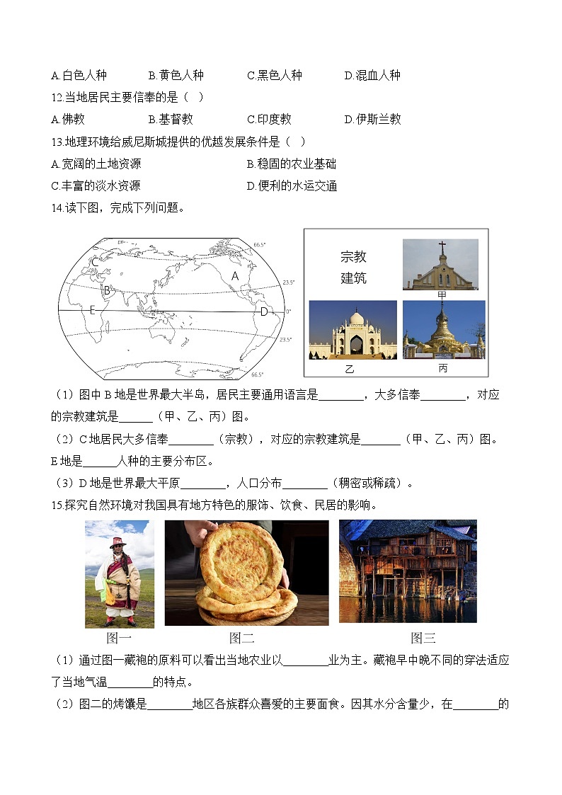 5.3多样的文化（含解析）2024-2025学年地理人教版（2024）七年级上册课时优化训练03