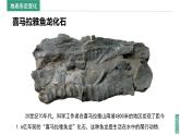 2024新教材湘教版（2024）七年级上册 3.3《海陆变迁》课件+教案+学案